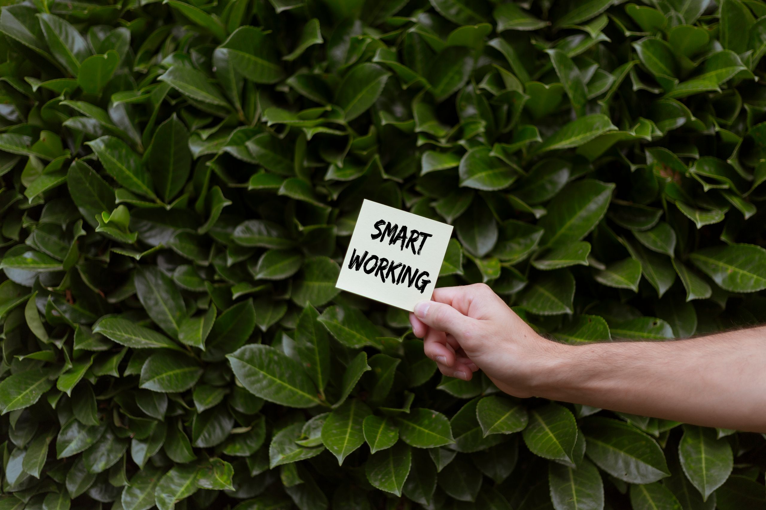A hand holds a note reading 'Smart Working' in front of lush green leaves.